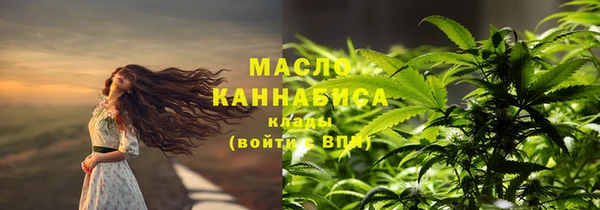 молекула духа Ладушкин